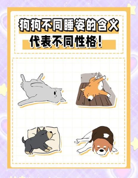 宠物睡觉姿势代表什么_狗狗睡觉打呼正常吗