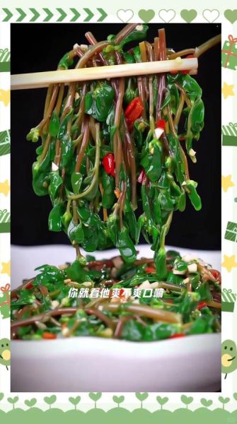 马齿苋怎么做好吃_马齿苋的功效与作用