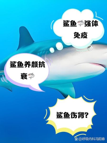 有鲨的词语有哪些_有鲨的词语怎么造句