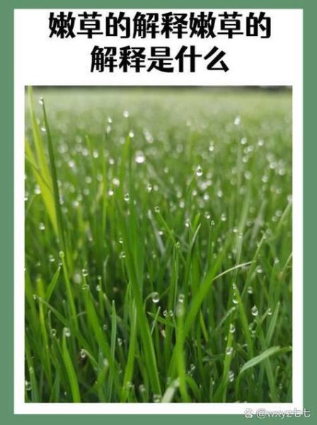 草颜色的词语有哪些_草绿色的别称大全