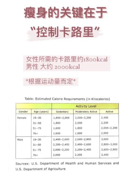 人站着怎么减肥_人站着能消耗多少卡路里