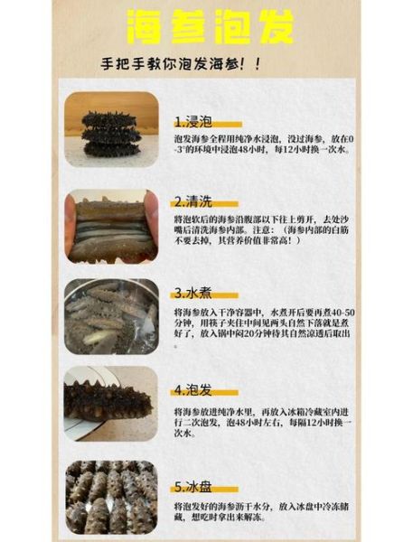 海参怎么泡发_海参家常做法