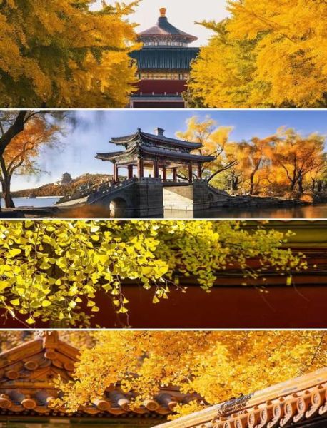 北京秋天哪里最美_北京赏秋最佳去处
