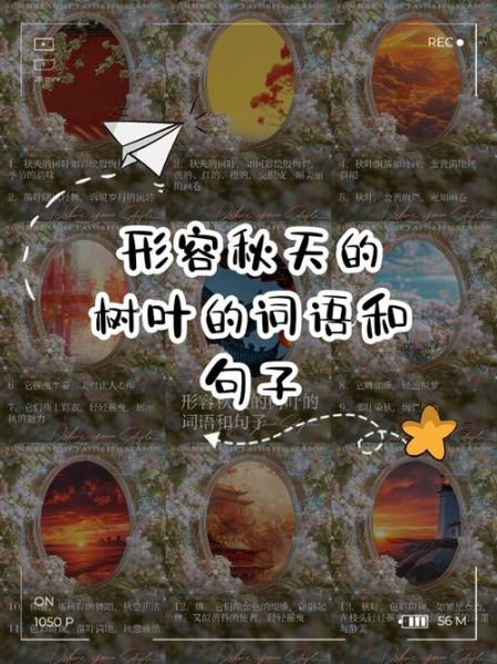 树叶颜色词语有哪些_如何描写树叶颜色