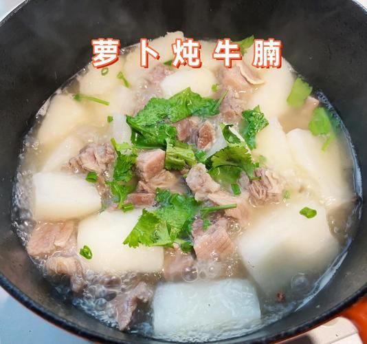 萝卜炖牛肉怎么做好吃_萝卜炖牛肉用高压锅还是砂锅