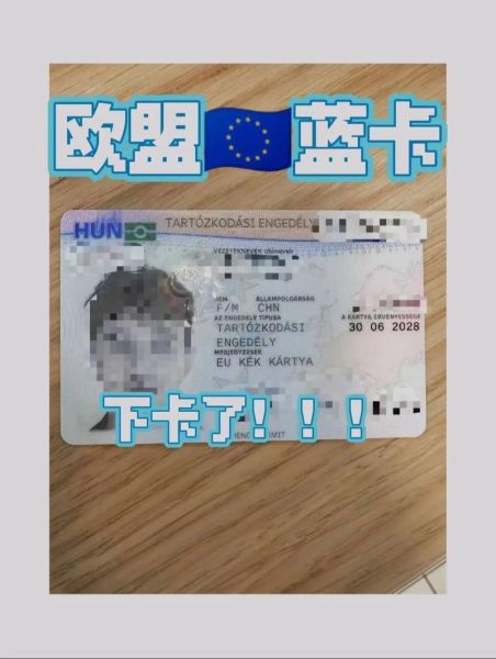 欧洲技术移民条件_如何申请欧盟蓝卡