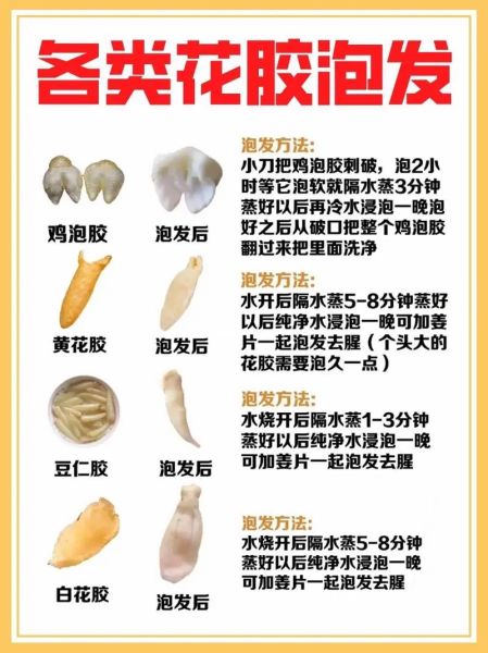 花胶怎么泡发_花胶的做法大全