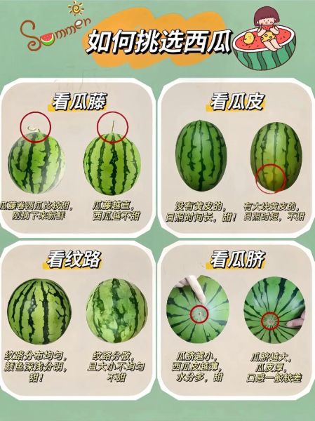 西瓜怎么挑_西瓜怎么切