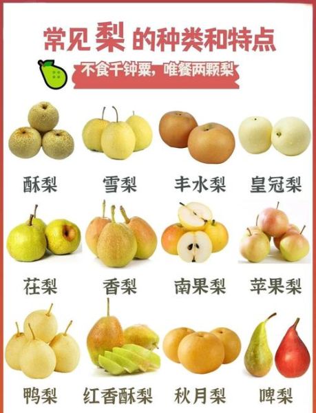 梨的别称有哪些_为什么叫梨涡