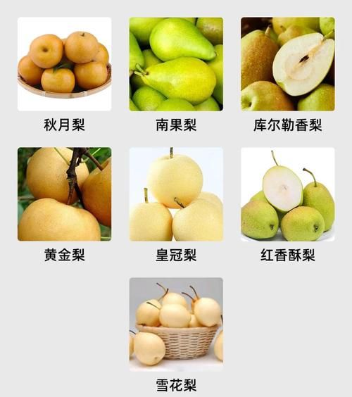 梨的别称有哪些_为什么叫梨涡