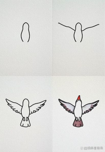 小鸟怎么飞起来的_鸟类飞行原理是什么