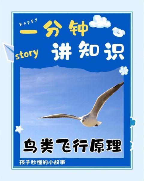 小鸟怎么飞起来的_鸟类飞行原理是什么