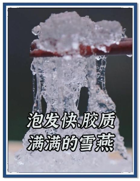 雪燕怎么泡发_雪燕的家常做法步骤
