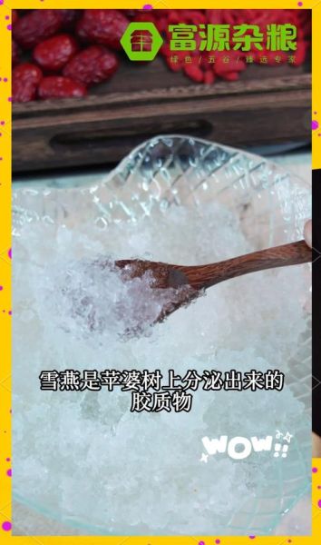 雪燕怎么泡发_雪燕的家常做法步骤