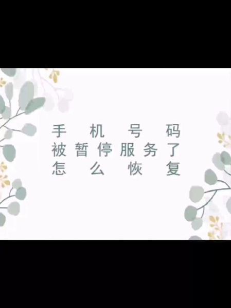 手机号码暂停服务是什么意思_怎么恢复