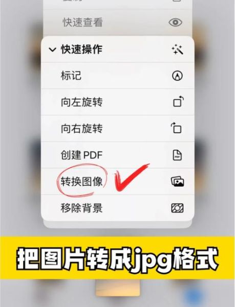 手机文件格式怎么转换_手机视频格式转换教程