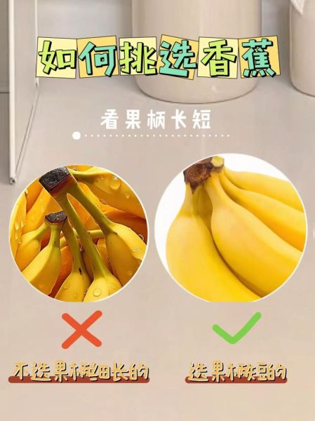 香蕉怎么挑选_香蕉怎么保存时间长