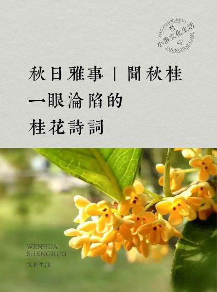 桂秋有哪些雅称_如何描写桂秋景色 桂秋有哪些雅称_如何描写桂秋景色