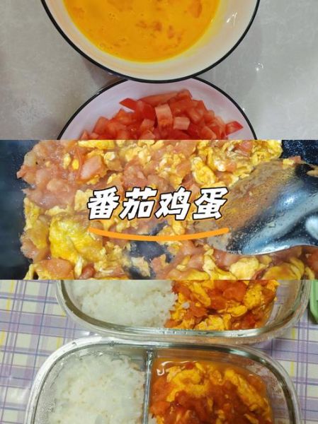 西红柿蛋炒饭怎么做_家常西红柿蛋炒饭步骤 西红柿蛋炒饭怎么做_家常西红柿蛋炒饭步骤