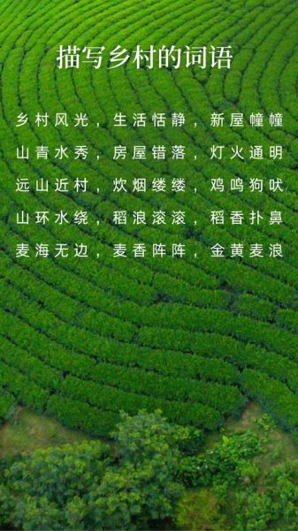 乡间小路怎么形容_小路用什么词语最贴切