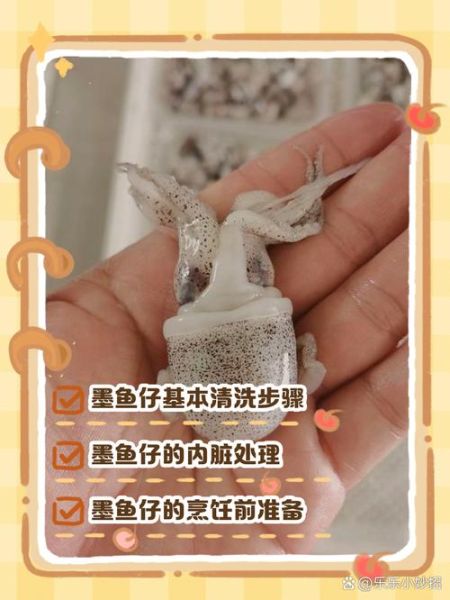 墨鱼仔怎么洗_墨鱼仔焯水多久 墨鱼仔怎么洗_墨鱼仔焯水多久