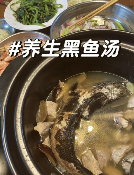 手术后黑鱼汤的做法_黑鱼汤怎么炖最补伤口