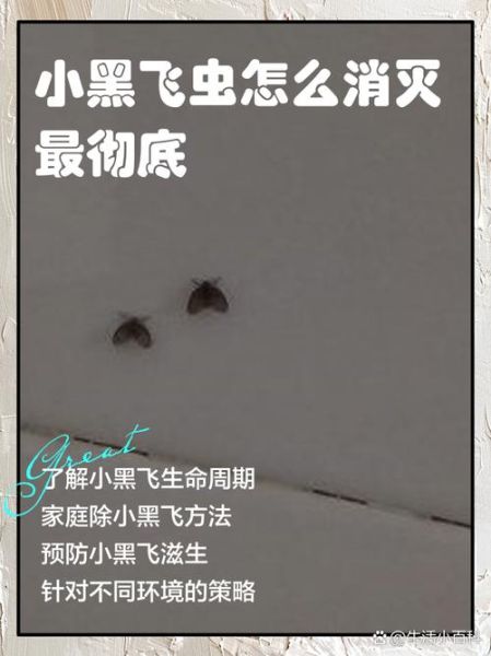 虫子为什么会飞_家里常见飞虫怎么消灭 虫子为什么会飞_家里常见飞虫怎么消灭