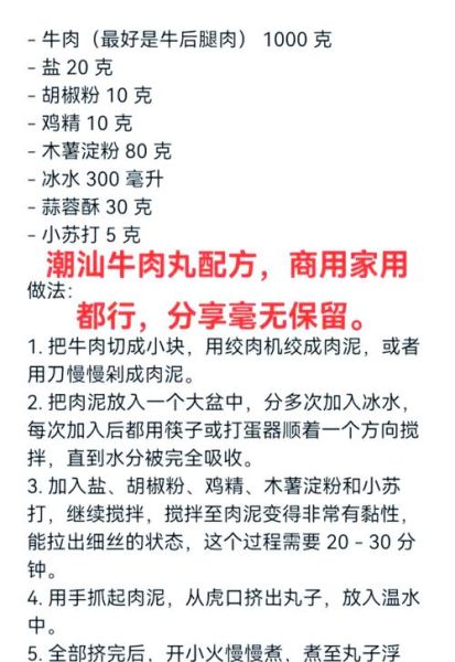 牛肉丸子怎么做_正宗潮汕牛肉丸配方 牛肉丸子怎么做_正宗潮汕牛肉丸配方