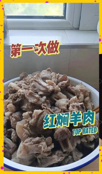 红焖羊肉怎么做好吃_家常红焖羊肉的做法步骤