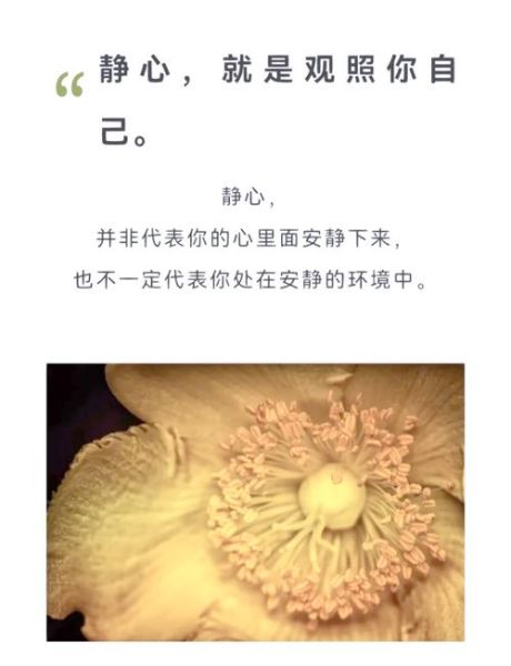 静心冥想的方法_静心冥想的好处