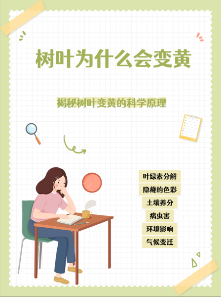 树叶为什么会变黄_树叶变黄的原因