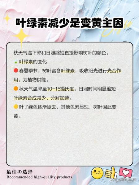 树叶为什么会变黄_树叶变黄的原因
