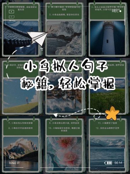 形容鸟心情的词语有哪些_如何用拟人化手法写鸟