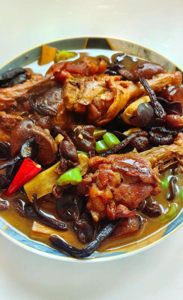 红烧鸭肉怎么做才好吃_红烧鸭肉的家常做法