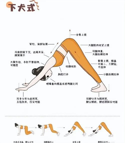 如何打造身材_打造身材需要多久