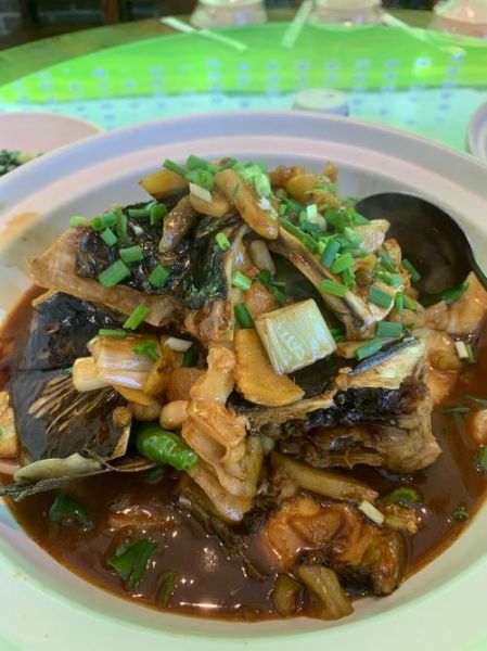 红烧鱼头怎么做_红烧鱼头家常做法