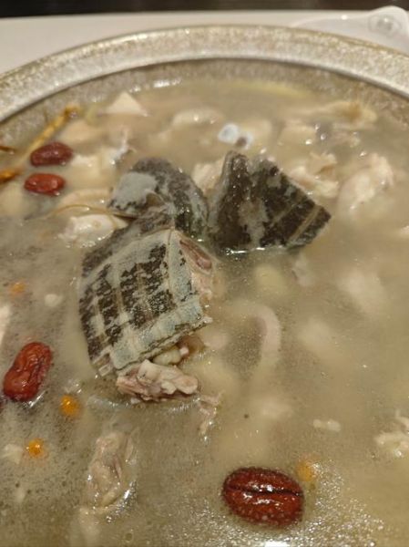 甲鱼怎么杀_甲鱼汤的做法