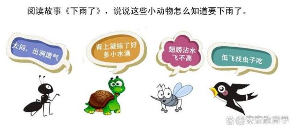 雨前天空有什么变化_下雨前动物行为有哪些