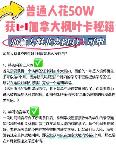 加拿大留学移民条件_如何快速拿到枫叶卡
