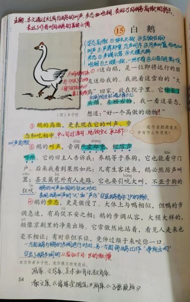 白鹅风景词语有哪些_白鹅风景描写怎么写 白鹅风景词语有哪些_白鹅风景描写怎么写