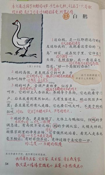 白鹅风景词语有哪些_白鹅风景描写怎么写