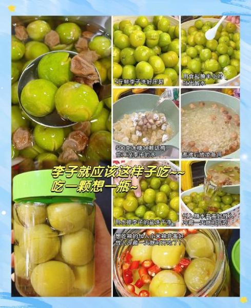 李子酱怎么做_李子酱保存多久