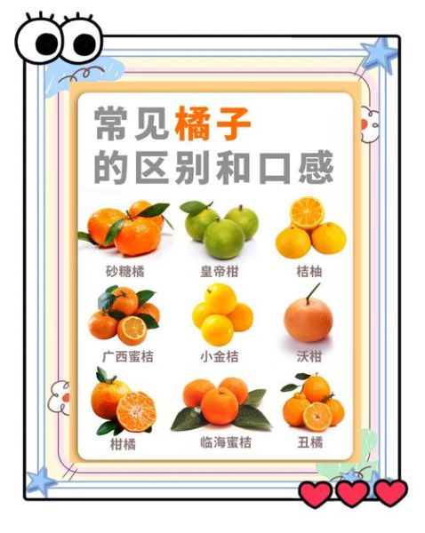 柑橘怎么挑选甜的_柑橘有哪些品种好吃 柑橘怎么挑选甜的_柑橘有哪些品种好吃