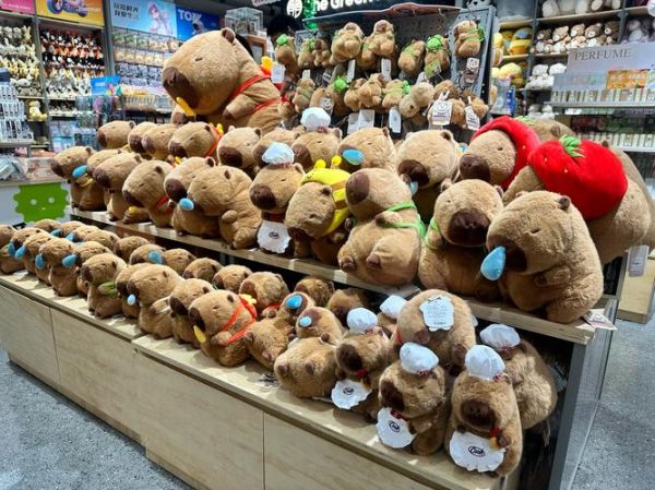 玩具手感怎么形容_玩具手感好的标准是什么 玩具手感怎么形容_玩具手感好的标准是什么