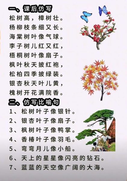 枫叶词语积累_如何高效记忆