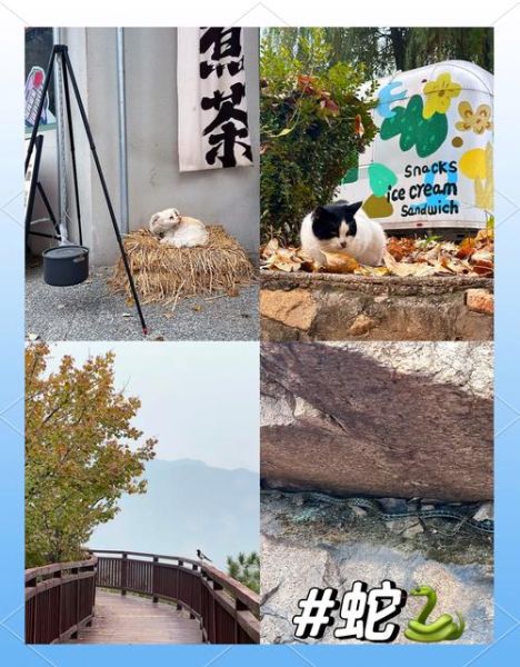 秋游去哪里好玩_秋游适合带孩子的地方