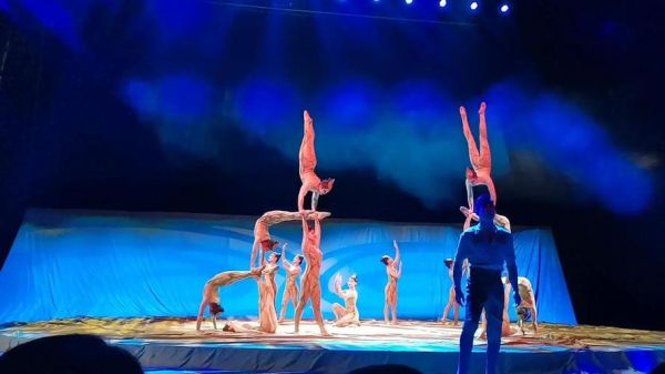 演杂技需要哪些基本功_杂技训练多久能上台