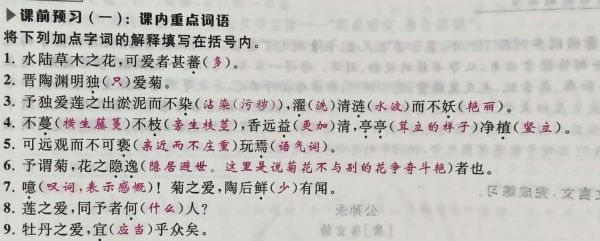 脏在后是什么意思_脏在后词语用法解析