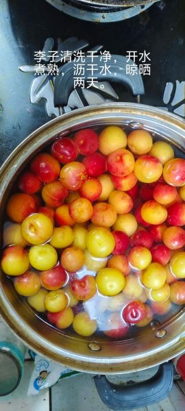 李子干怎么做_李子干保存多久