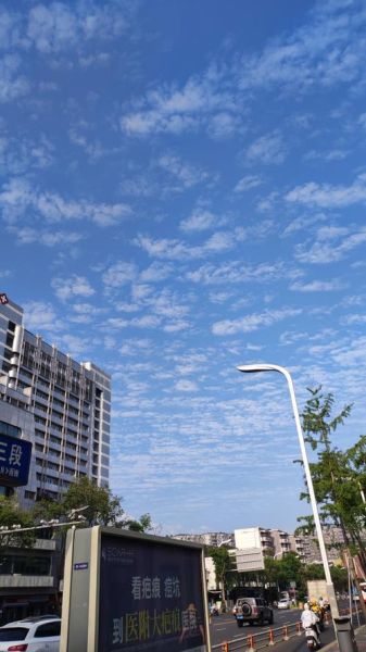 晴朗的清晨适合做什么_晴朗的清晨怎么拍好看